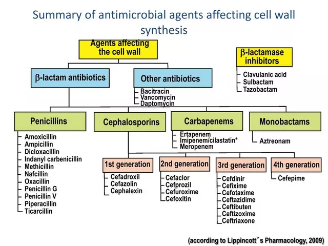 Cefadroxil vs. Other Antibiotics: Comparing Effectiveness